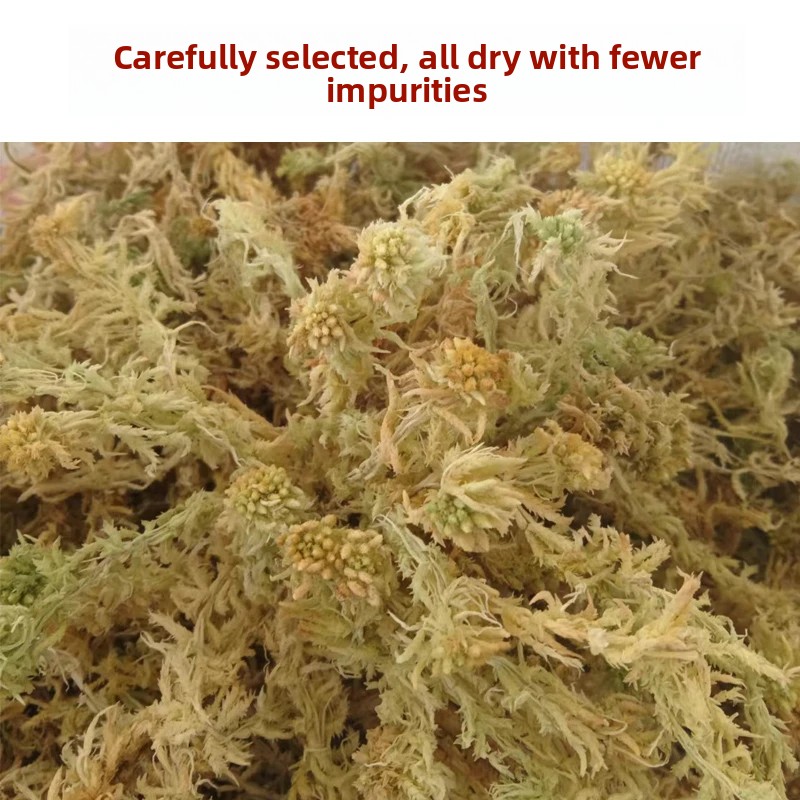 Grade A Dried Sphagnum Moss, N - Preserved Moss Sheet recension och pris